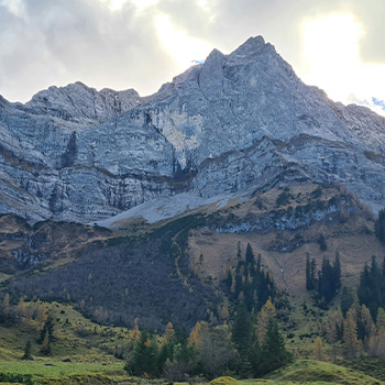 Wild aus dem Karwendel