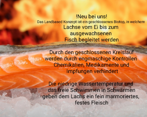 Probieren Sie jetzt neu bei uns: Land- based Lachs